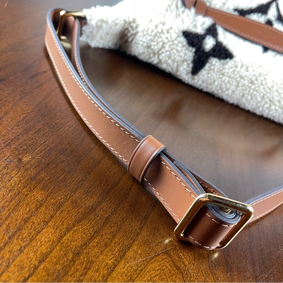 Louis Vuitton Teddy Mono Bumbag - Picture 5 of 14